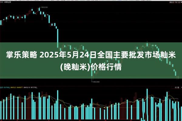 掌乐策略 2025年5月24日全国主要批发市场籼米(晚籼米)价格行情