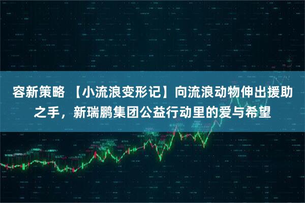 容新策略 【小流浪变形记】向流浪动物伸出援助之手，新瑞鹏集团公益行动里的爱与希望