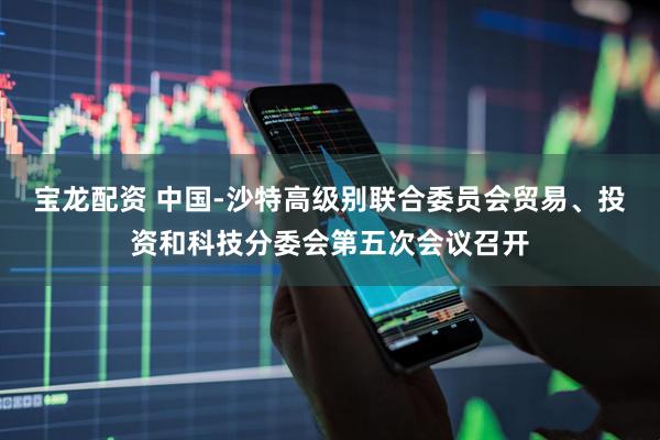 宝龙配资 中国-沙特高级别联合委员会贸易、投资和科技分委会第五次会议召开