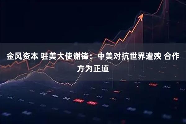 金风资本 驻美大使谢锋：中美对抗世界遭殃 合作方为正道