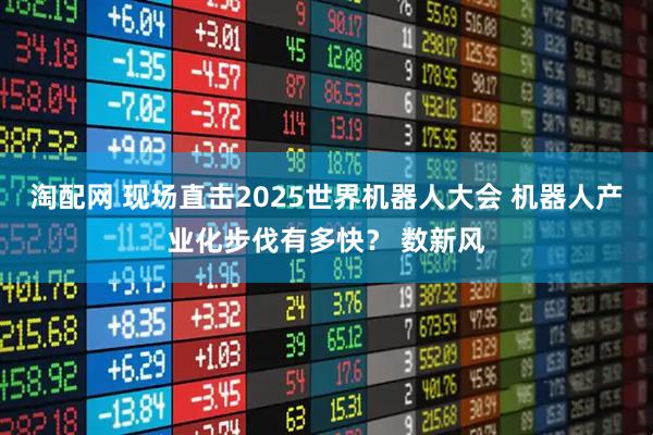 淘配网 现场直击2025世界机器人大会 机器人产业化步伐有多快？ 数新风