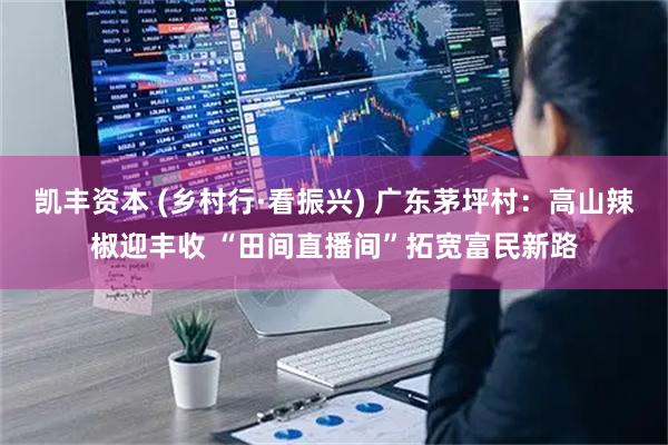 凯丰资本 (乡村行·看振兴) 广东茅坪村：高山辣椒迎丰收 “田间直播间”拓宽富民新路
